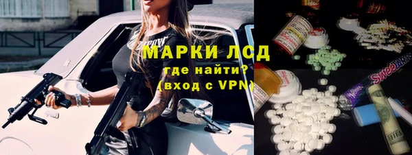 ПСИЛОЦИБИНОВЫЕ ГРИБЫ Заводоуковск