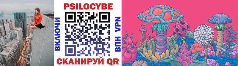 цены   Пикалёво  Псилоцибиновые грибы Magic Shrooms 