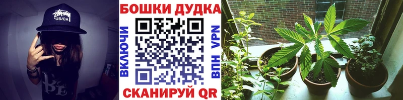 Шишки марихуана VHQ  закладка  Пикалёво 